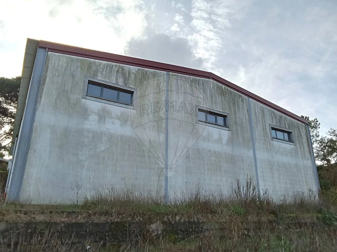 Armazém para Venda em São Jose da Lamarosa Foto 10