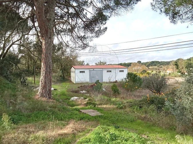 Armazém para Venda em São Jose da Lamarosa