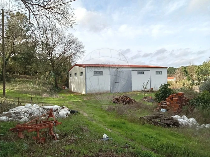 Armazém para Venda em São Jose da Lamarosa Foto 2