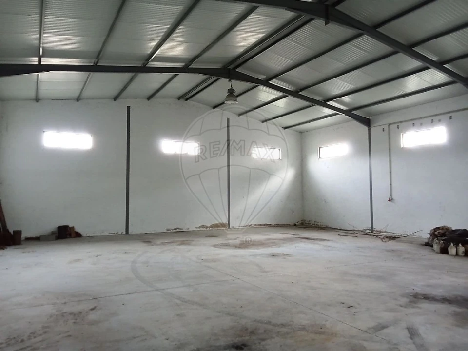 Armazém para Venda em São Jose da Lamarosa Foto 3