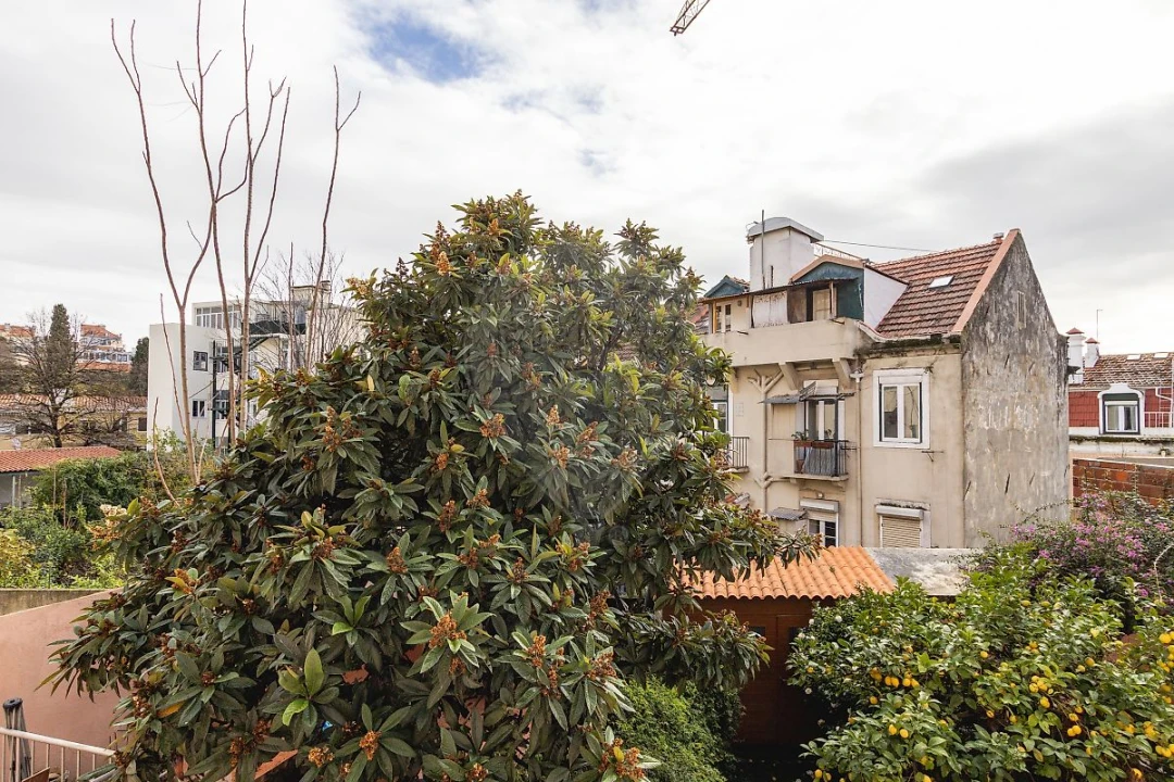 Apartamento T1 para Arrendamento em Misericórdia Foto 15