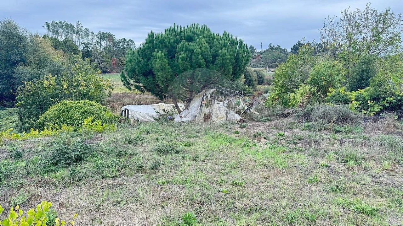 Moradia T2 para Venda em Ferreira de Aves Foto 7