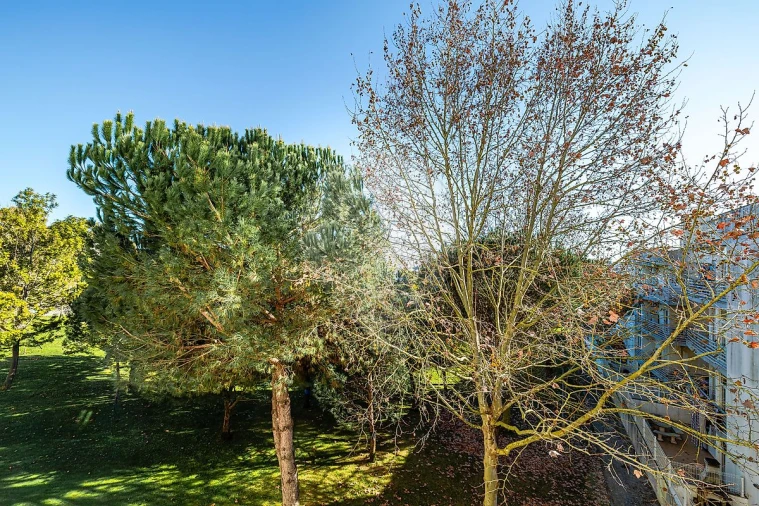 Apartamento T3 para Arrendamento em Vialonga Foto 23