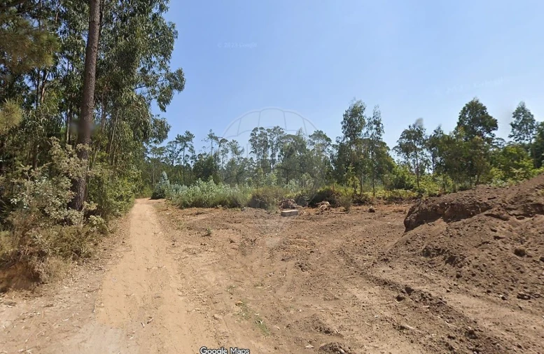 Armazém para Venda em O. Azeméis, Riba-Ul, Ul, Macinhata Seixa, Madail Foto 2