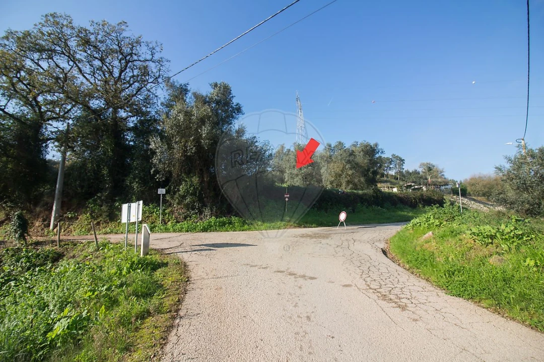 Terreno para Venda em Abrigada e Cabanas de Torres Foto 2