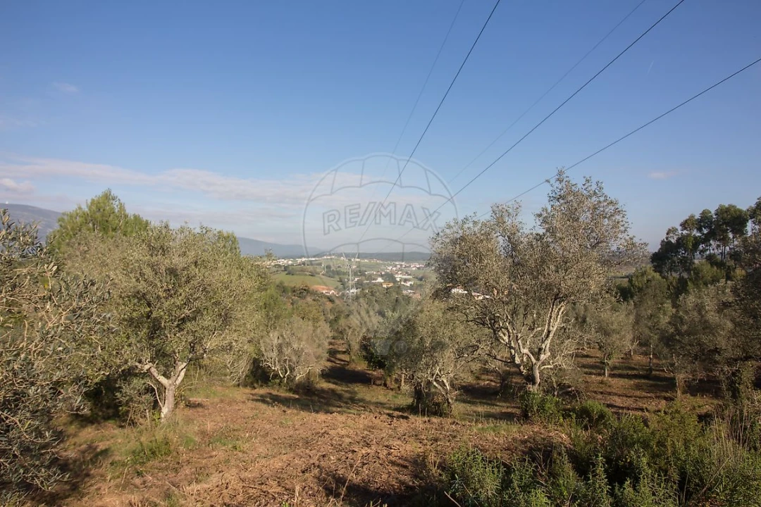 Terreno para Venda em Abrigada e Cabanas de Torres Foto 19
