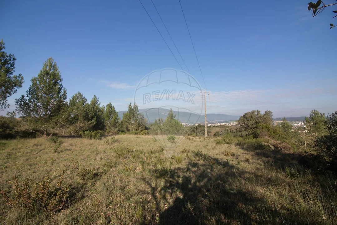 Terreno para Venda em Abrigada e Cabanas de Torres Foto 12