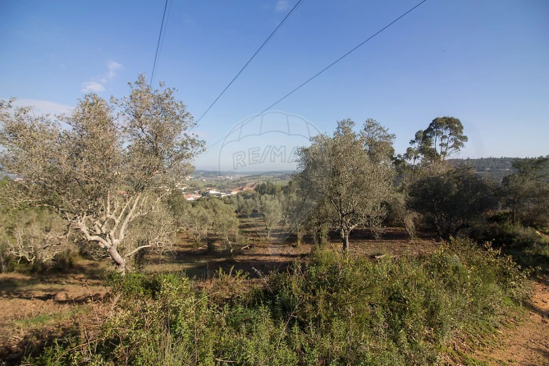 Terreno para Venda em Abrigada e Cabanas de Torres Foto 8