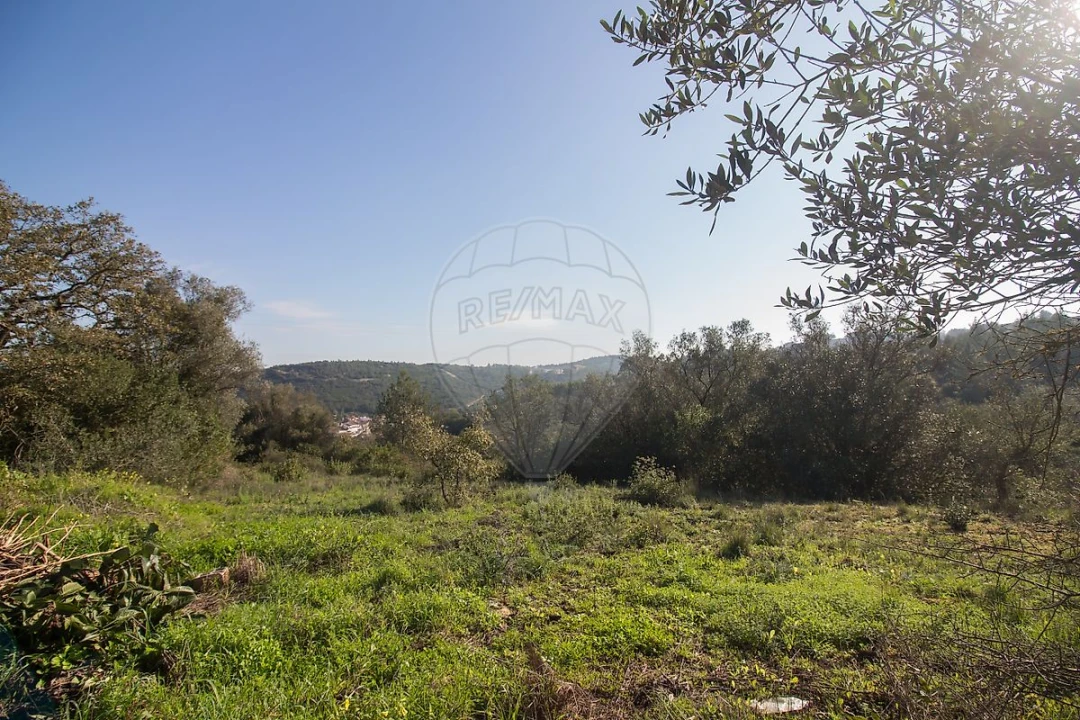 Terreno para Venda em Abrigada e Cabanas de Torres Foto 23