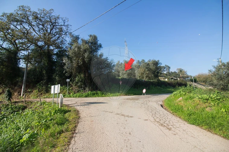Terreno para Venda em Abrigada e Cabanas de Torres Foto 2
