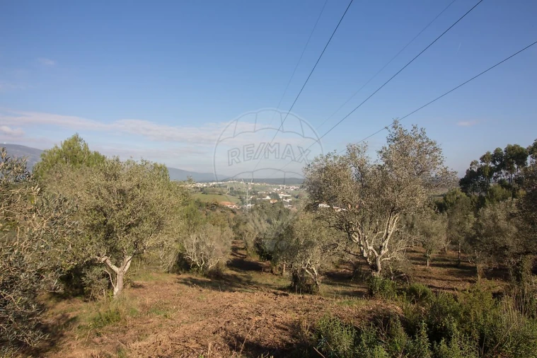Terreno para Venda em Abrigada e Cabanas de Torres Foto 19