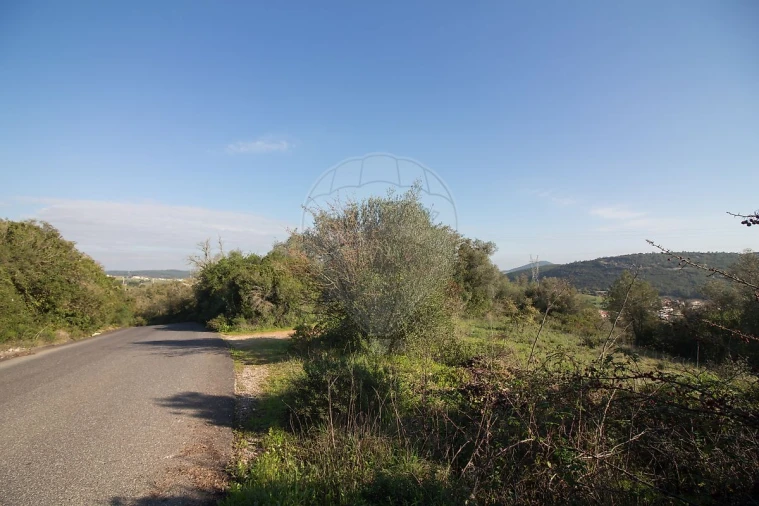 Terreno para Venda em Abrigada e Cabanas de Torres Foto 21