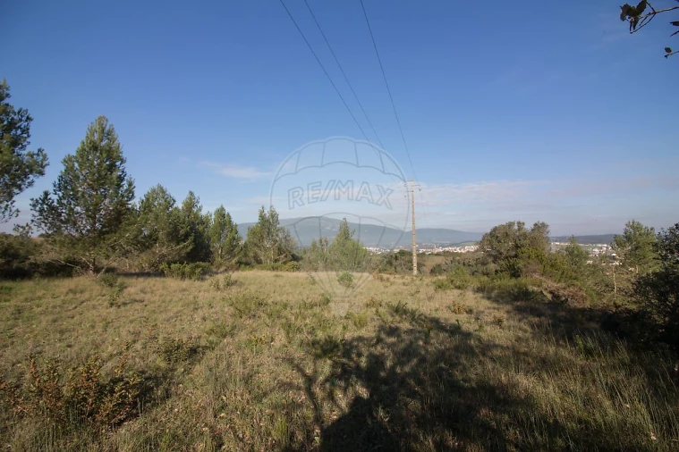 Terreno para Venda em Abrigada e Cabanas de Torres Foto 12
