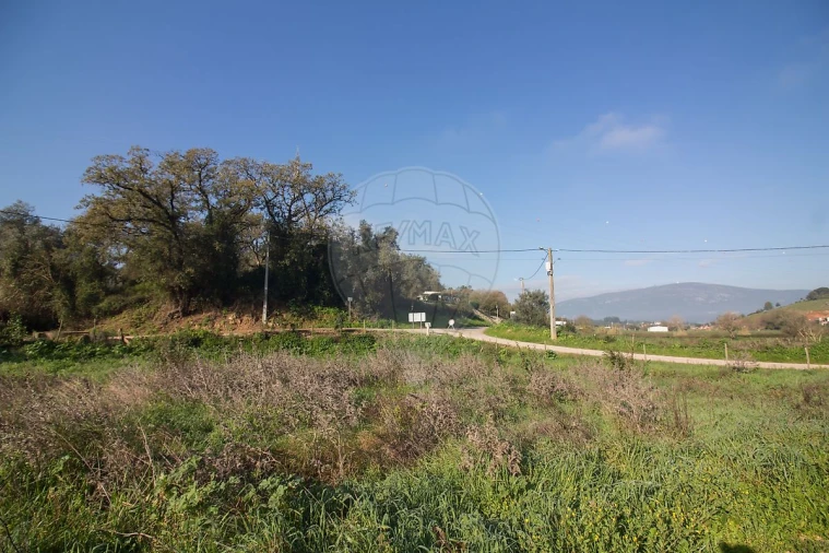 Terreno para Venda em Abrigada e Cabanas de Torres Foto 3