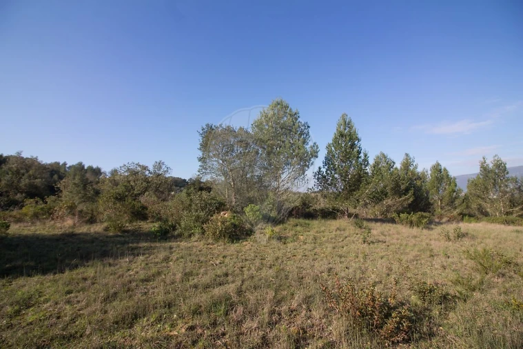 Terreno para Venda em Abrigada e Cabanas de Torres Foto 15
