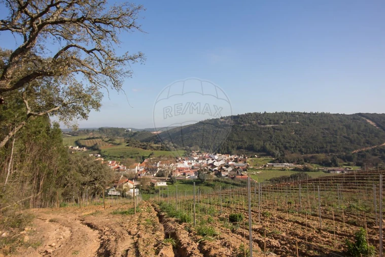 Terreno para Venda em Abrigada e Cabanas de Torres Foto 17