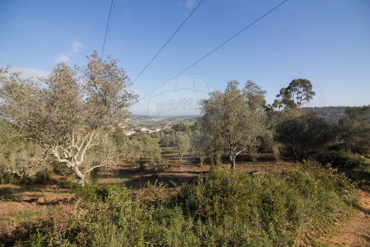 Terreno para Venda em Abrigada e Cabanas de Torres Foto 8