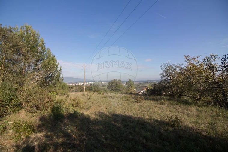 Terreno para Venda em Abrigada e Cabanas de Torres Foto 10