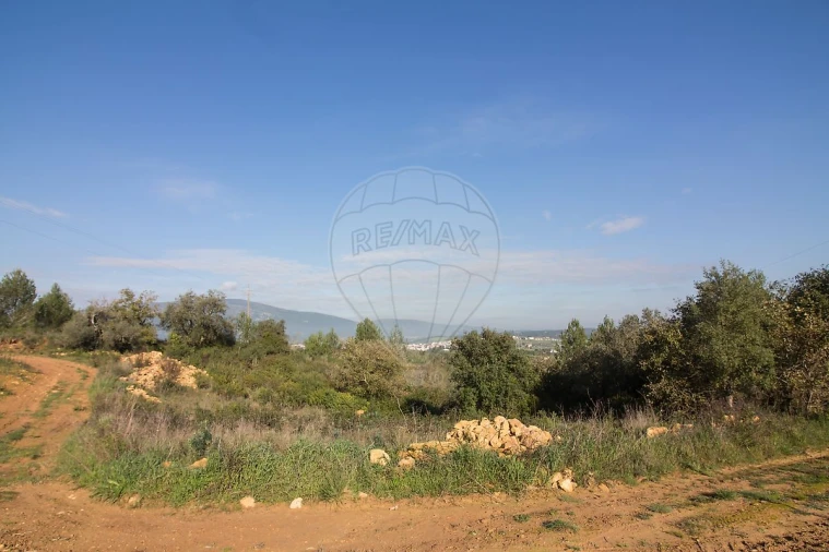 Terreno para Venda em Abrigada e Cabanas de Torres Foto 9