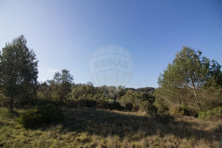 Terreno para Venda em Abrigada e Cabanas de Torres Foto 16