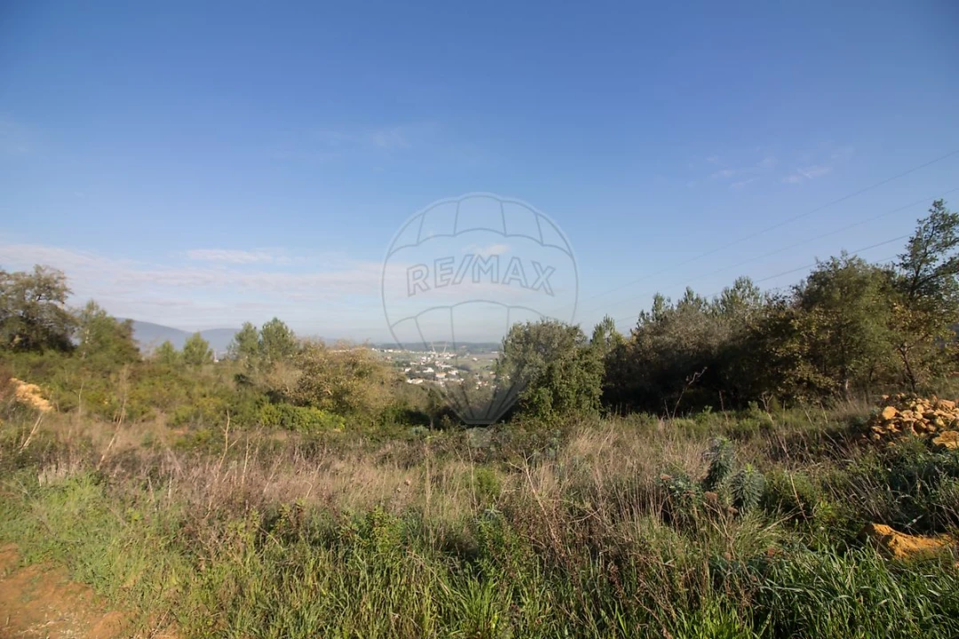 Terreno para Venda em Abrigada e Cabanas de Torres Foto 11