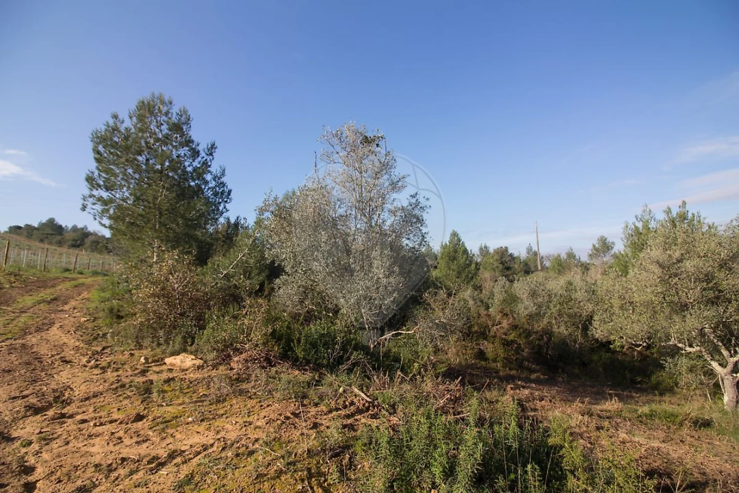 Terreno para Venda em Abrigada e Cabanas de Torres Foto 6