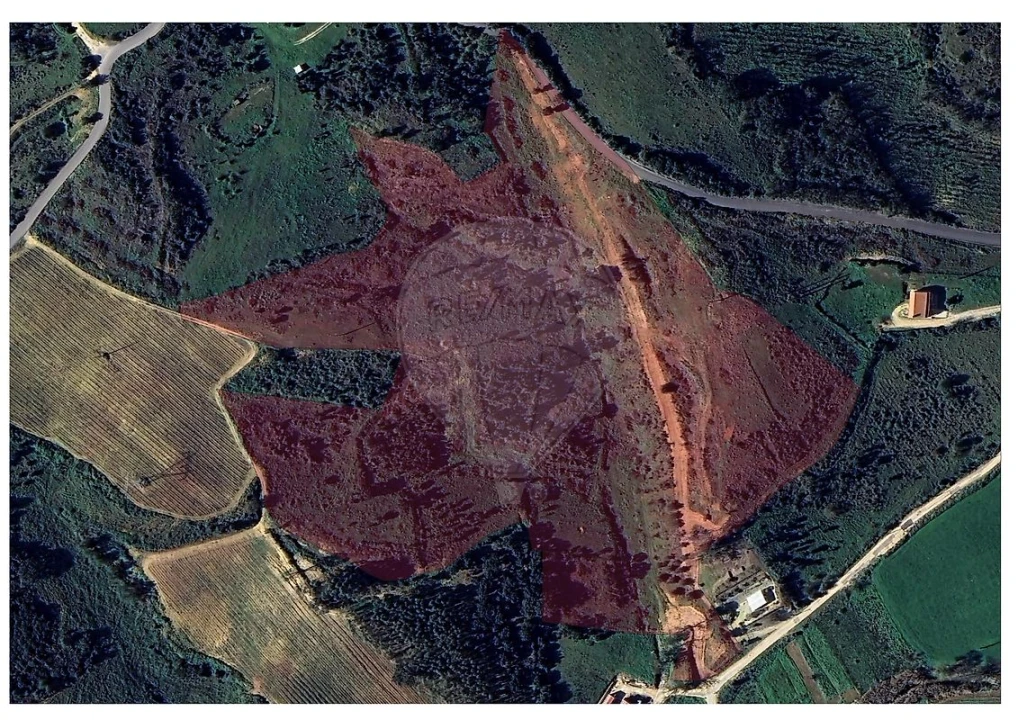 Terreno para Venda em Abrigada e Cabanas de Torres Foto 1