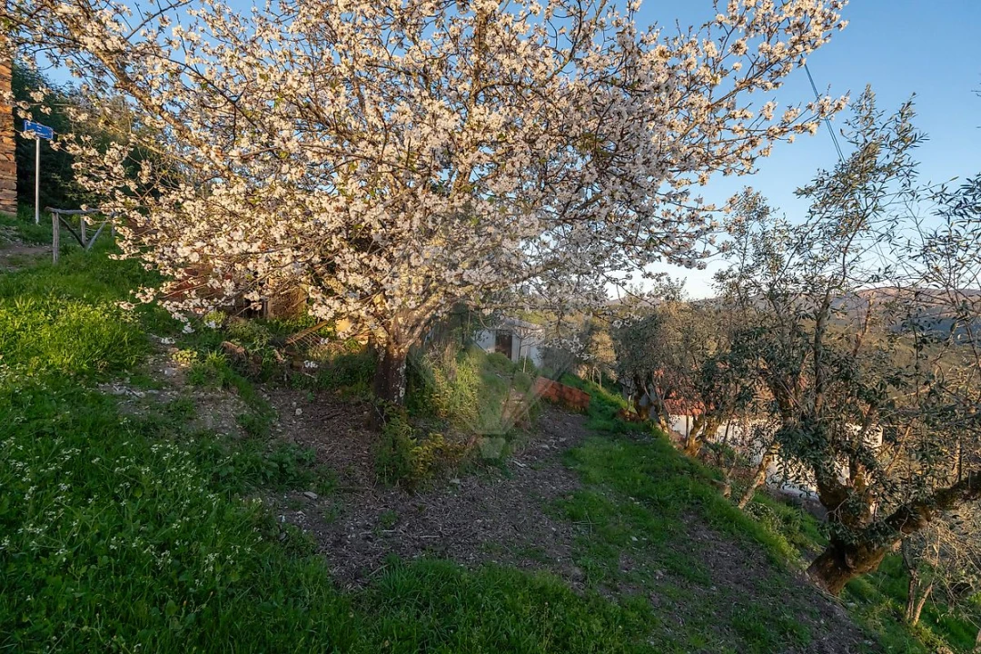 Moradia T2 para Venda em Cadafaz e Colmeal Foto 38