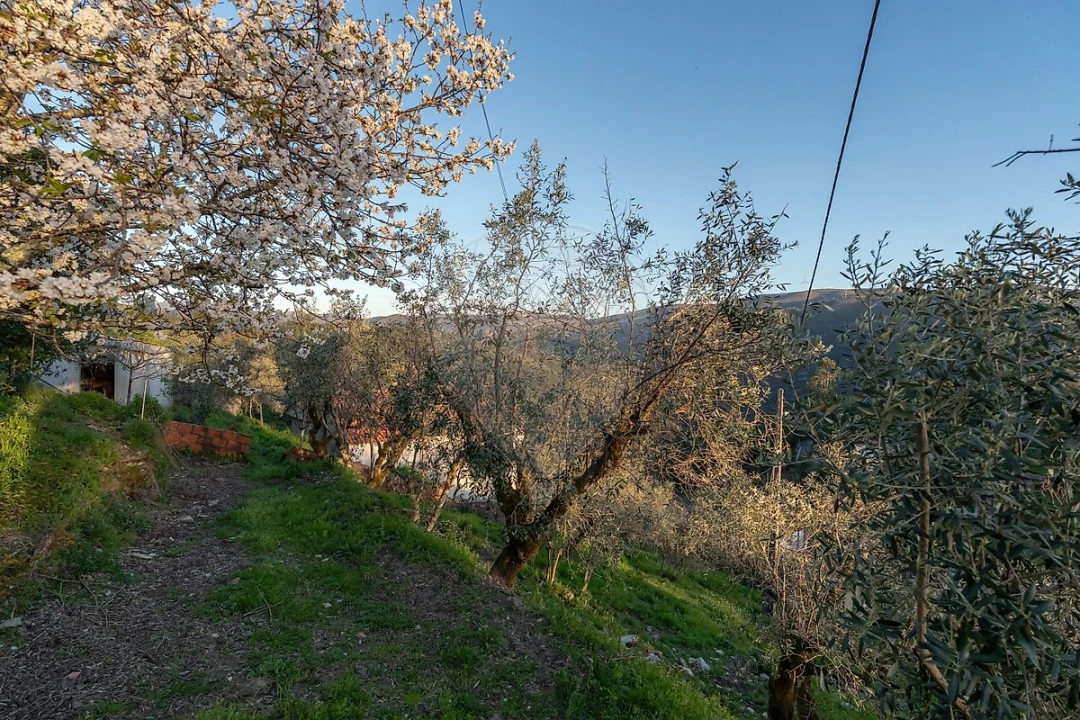 Moradia T2 para Venda em Cadafaz e Colmeal Foto 39