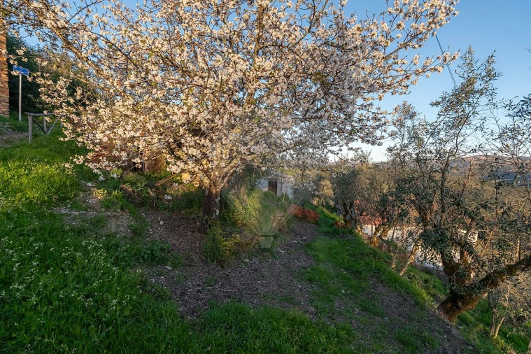 Moradia T2 para Venda em Cadafaz e Colmeal Foto 38