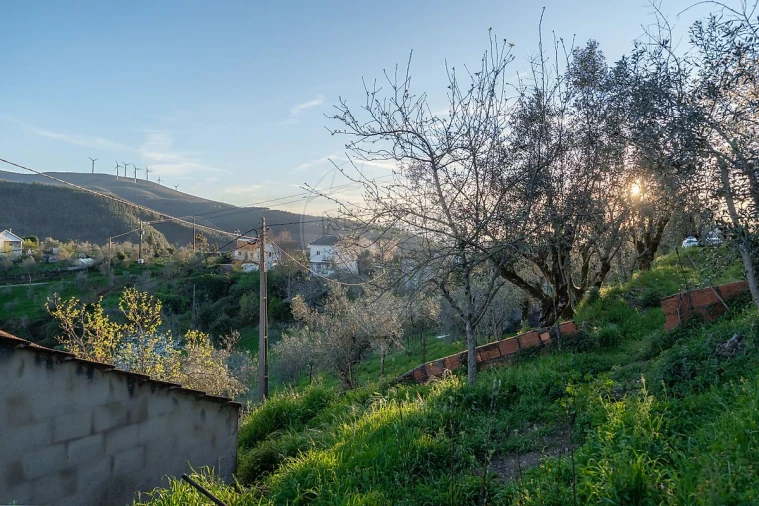 Moradia T2 para Venda em Cadafaz e Colmeal Foto 33