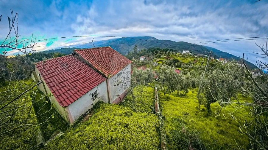 Moradia T2 para Venda em Cadafaz e Colmeal Foto 19