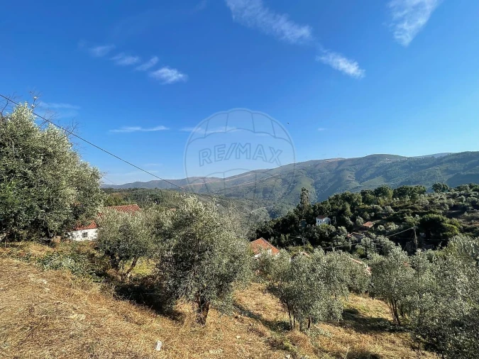 Moradia T2 para Venda em Cadafaz e Colmeal Foto 22