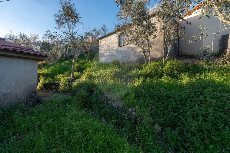 Moradia T2 para Venda em Cadafaz e Colmeal Foto 10