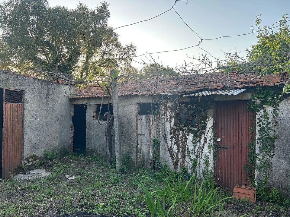 Moradia T3 para Venda em Eiras e São Paulo de Frades Foto 3