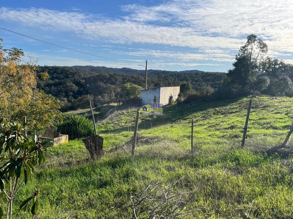 Moradia para Venda em São Martinho das Amoreiras Foto 21