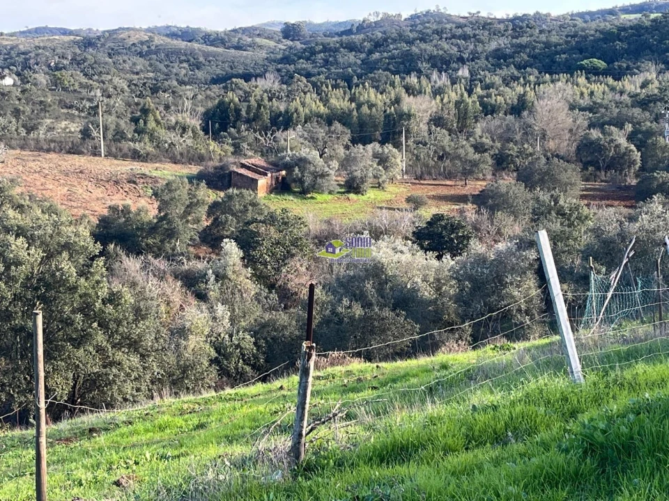 Moradia para Venda em São Martinho das Amoreiras Foto 29