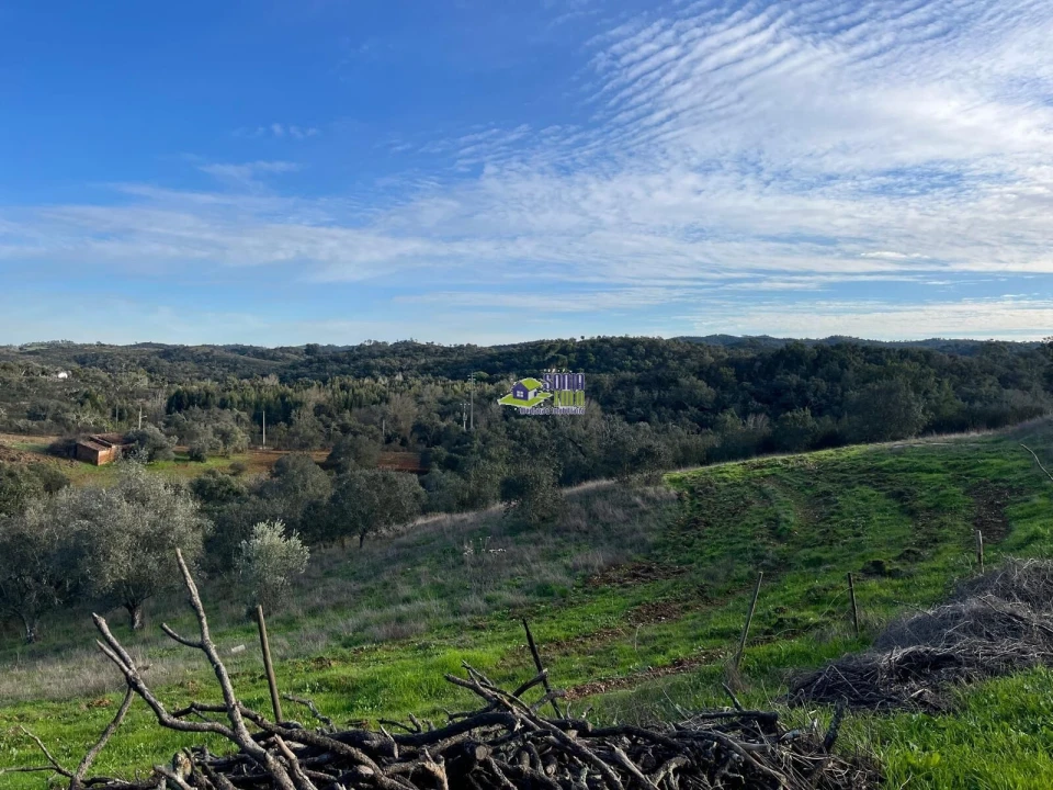 Moradia para Venda em São Martinho das Amoreiras Foto 33
