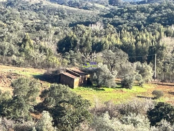 Moradia para Venda em São Martinho das Amoreiras