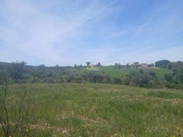 Moradia para Venda em São Martinho das Amoreiras