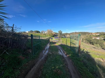 Moradia para Venda em São Martinho das Amoreiras