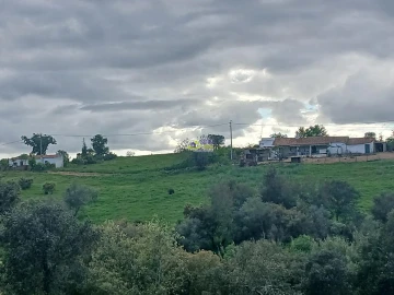 Moradia para Venda em São Martinho das Amoreiras