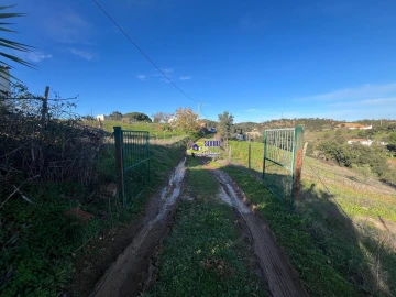 Moradia para Venda em São Martinho das Amoreiras