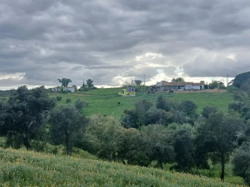Moradia para Venda em São Martinho das Amoreiras