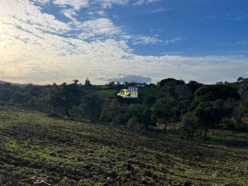 Moradia para Venda em São Martinho das Amoreiras