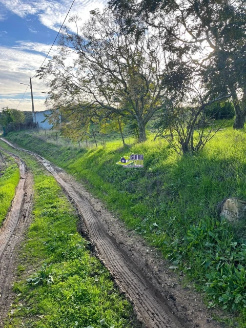 Moradia para Venda em São Martinho das Amoreiras
