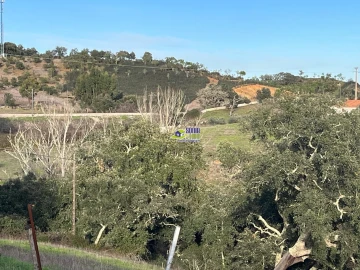 Moradia para Venda em São Martinho das Amoreiras