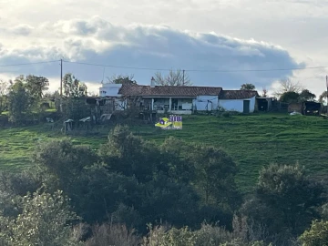 Moradia para Venda em São Martinho das Amoreiras