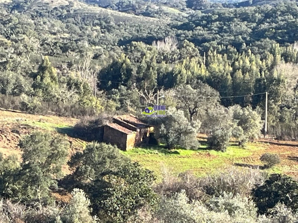 Moradia para Venda em São Martinho das Amoreiras Foto 13