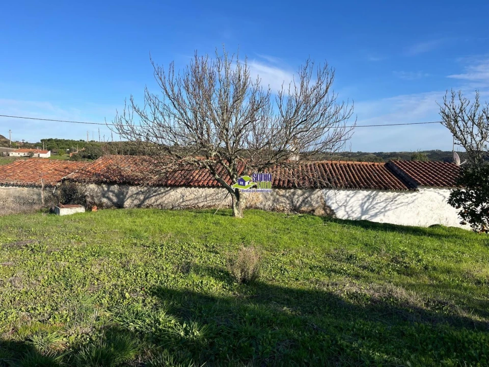 Moradia para Venda em São Martinho das Amoreiras Foto 2
